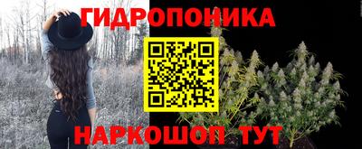 гидропоника Будённовск