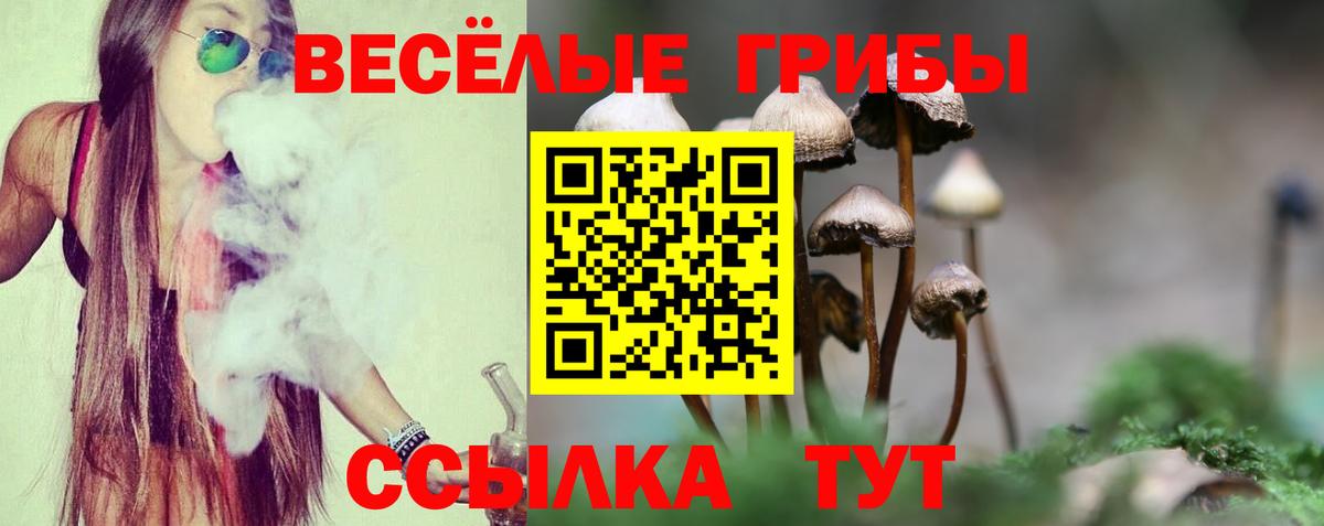 Галлюциногенные грибы Magic Shrooms Котлас
