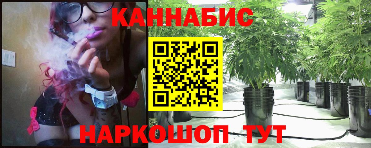 МАРИХУАНА план Котлас